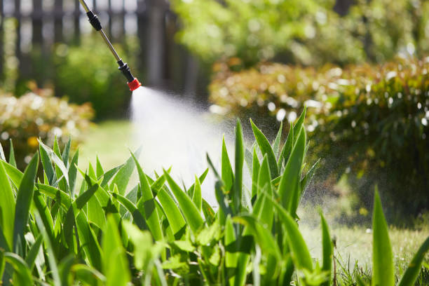 24/7 Emergency Wasp Removal experts in Midland City, AL