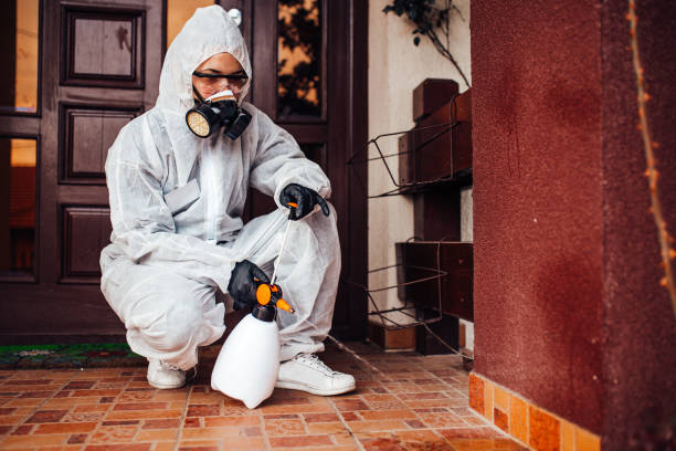 Reliable Wasp Removal contractor in Midland City, AL by Show Me Pest Control