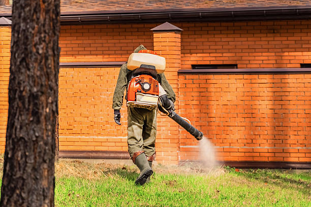 Top rated local Wasp Removal specialists in Midland City, AL